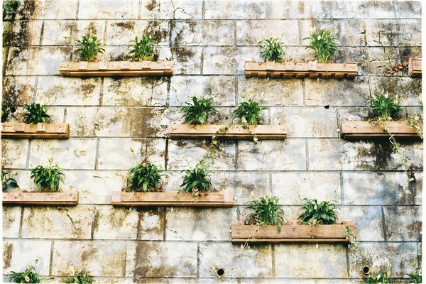 Melhores Vasos e Suportes para Jardim Vertical que Não Vazam Água - Pura Six